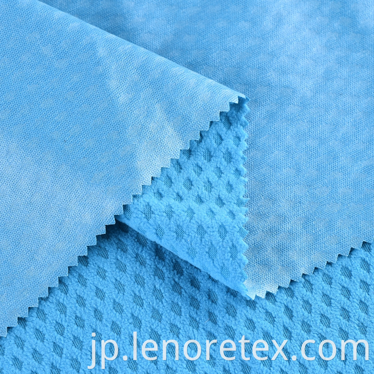 Polar Fleece Fabric